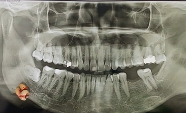 Dr. Marietta  Jose photo 4